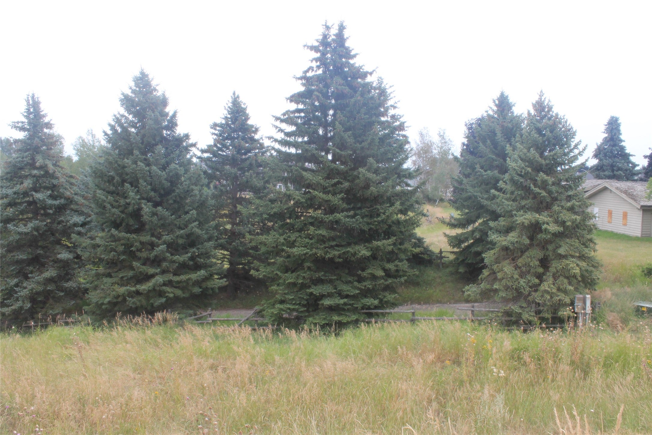 167 Westland Drive