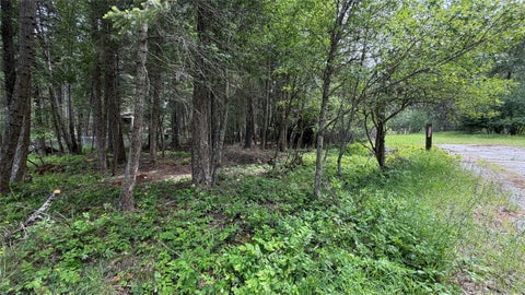 Tiny photo for 5671 Kootenai River Road, Libby, MT 59923 (MLS # 30072280)