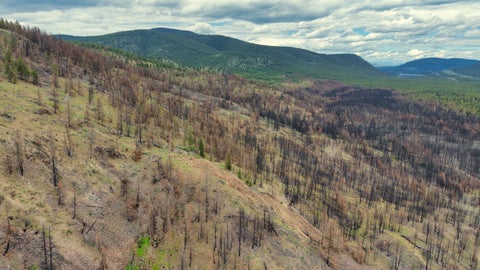 Tiny photo for NHN Hwy 28, Plains, MT 59859 (MLS # 30072895)