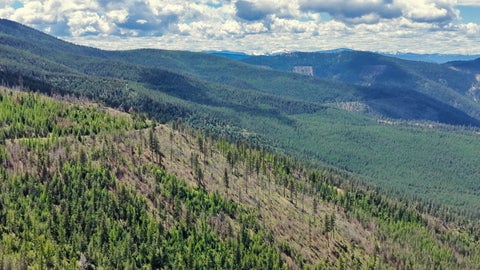 Tiny photo for NHN Hwy 28, Plains, MT 59859 (MLS # 30072895)
