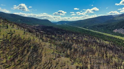 Tiny photo for NHN Hwy 28, Plains, MT 59859 (MLS # 30072895)