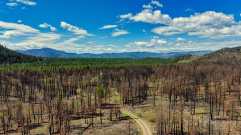 Tiny photo for NHN Hwy 28, Plains, MT 59859 (MLS # 30072895)