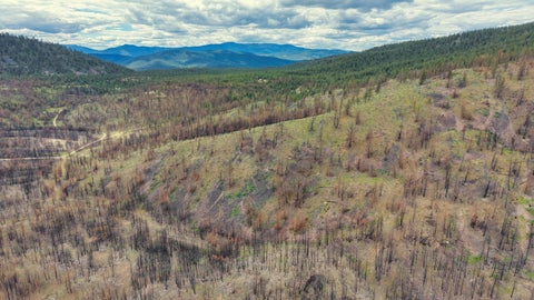 Tiny photo for NHN Hwy 28, Plains, MT 59859 (MLS # 30072895)