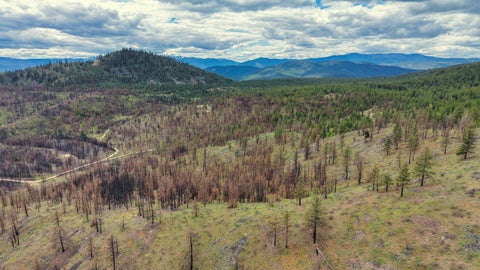 Tiny photo for NHN Hwy 28, Plains, MT 59859 (MLS # 30072895)