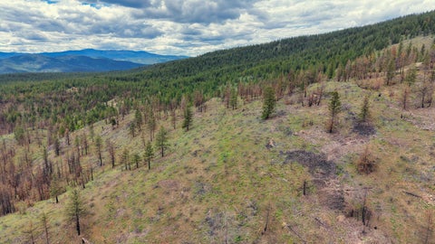 Tiny photo for NHN Hwy 28, Plains, MT 59859 (MLS # 30072895)