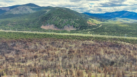 Tiny photo for NHN Hwy 28, Plains, MT 59859 (MLS # 30072895)
