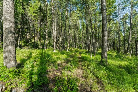 Tiny photo for 2750 Big Mountain Road, Whitefish, MT 59937 (MLS # 30028964)