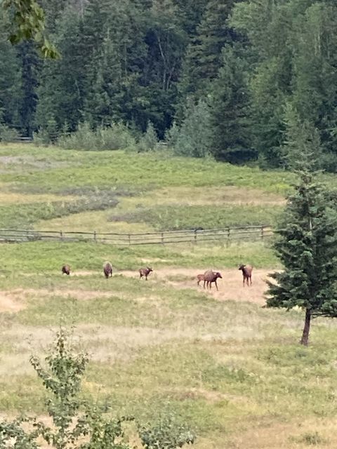 Tiny photo for 2750 Big Mountain Road, Whitefish, MT 59937 (MLS # 30028964)