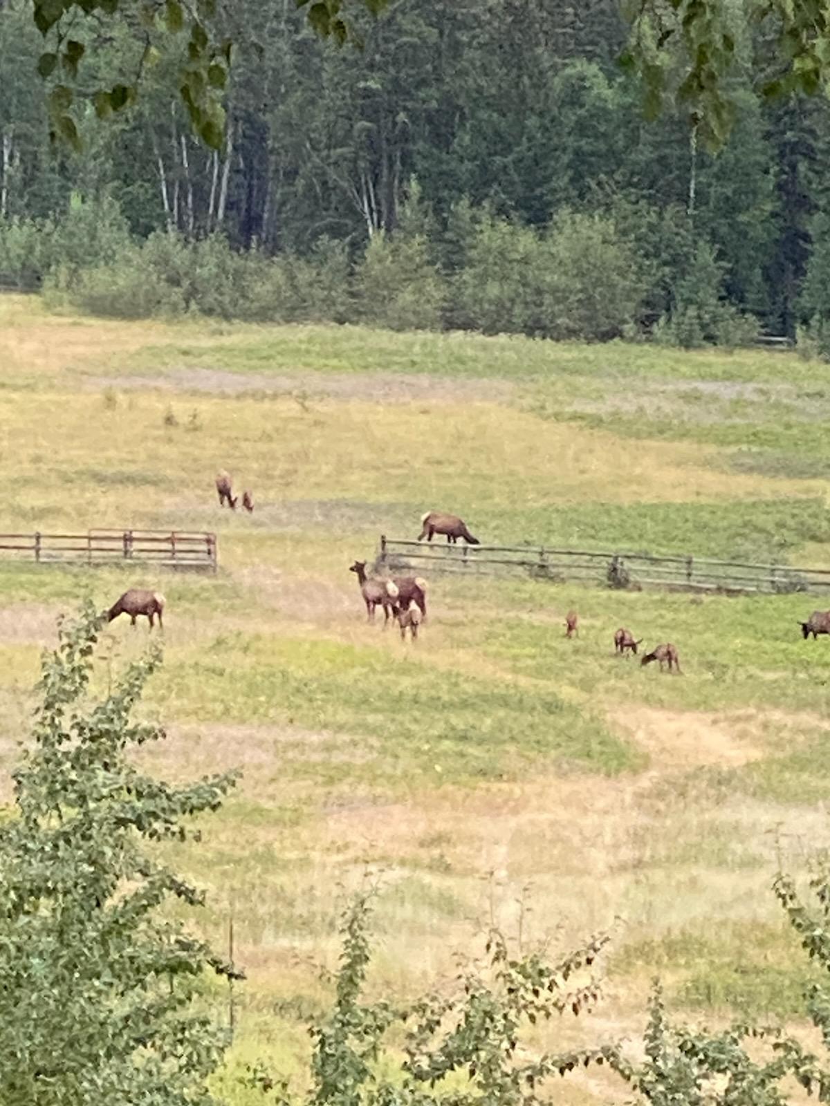 2750 Big Mountain Road