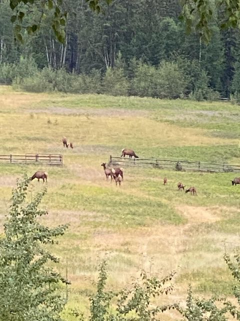 Tiny photo for 2750 Big Mountain Road, Whitefish, MT 59937 (MLS # 30028964)