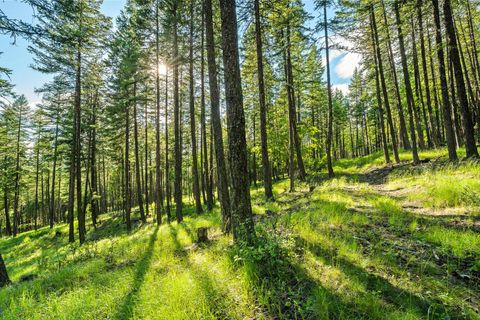 Tiny photo for 2750 Big Mountain Road, Whitefish, MT 59937 (MLS # 30028964)