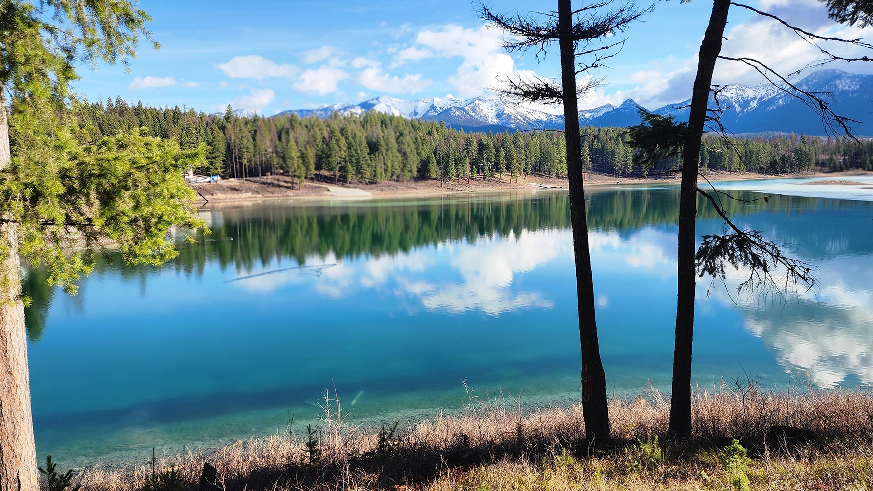 989 Lake Of The Woods Lane