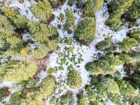 Tiny photo for NHN KM Ranch Road, Whitefish, MT 59937 (MLS # 30068019)