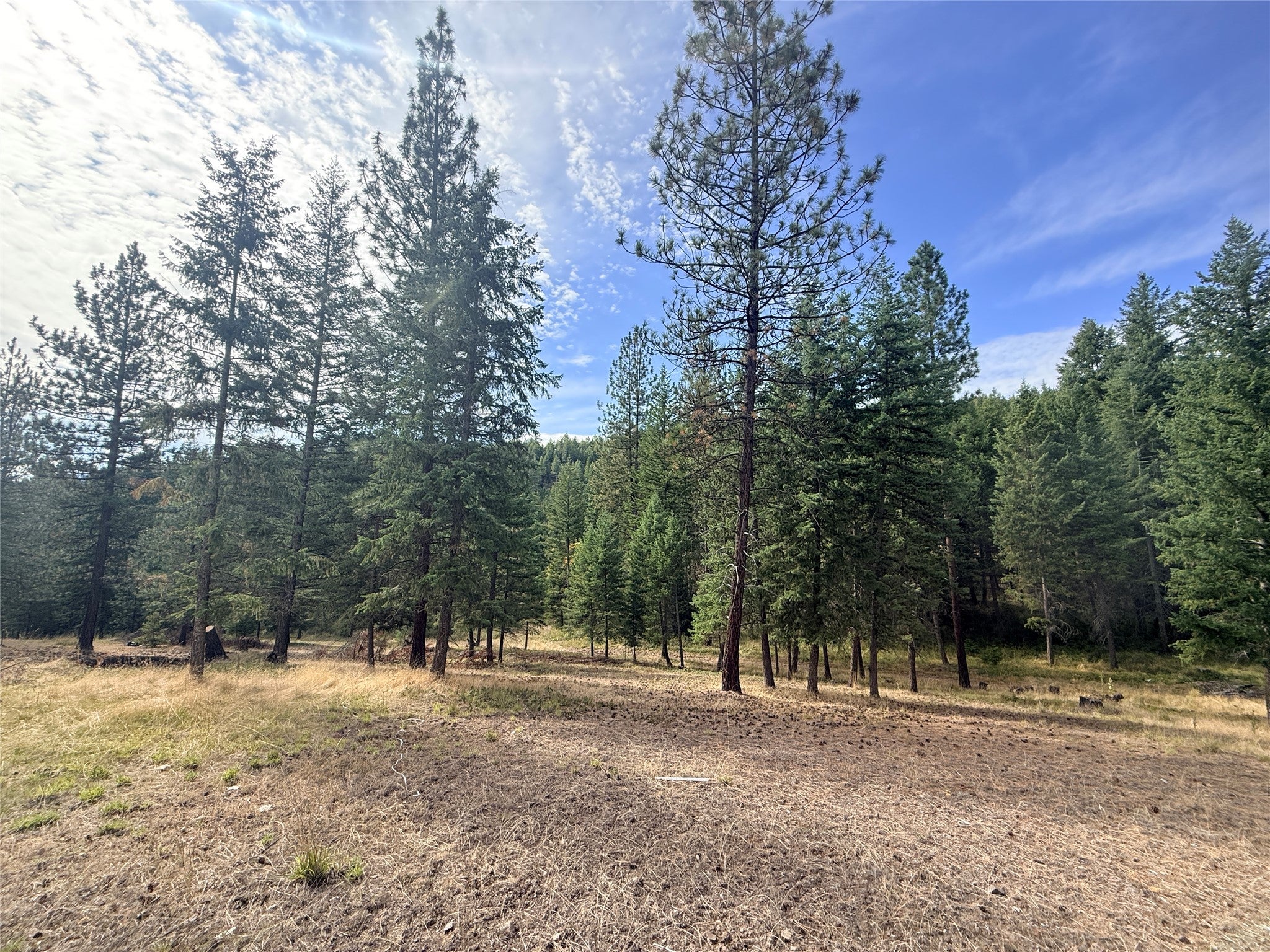 173 Cedar Creek Road
