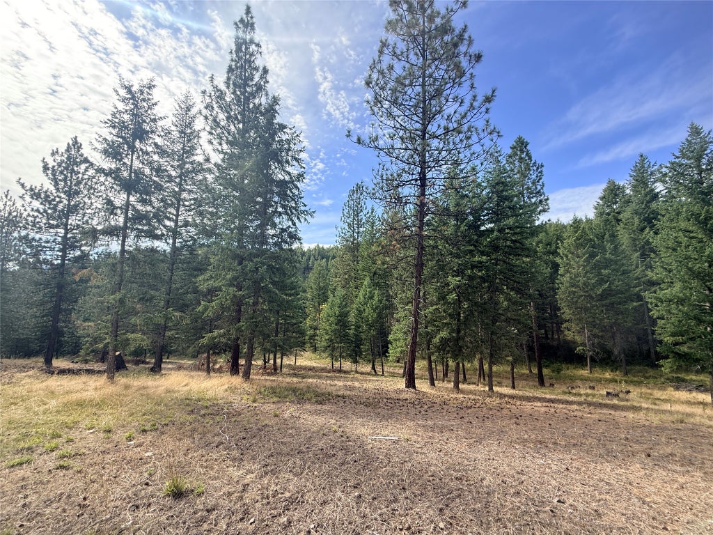 Photo of 173 Cedar Creek Road, Plains, MT 59859 (MLS # 30078669)