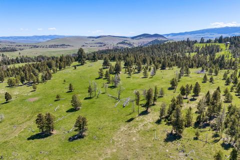 NHN N Fork Lower Willow Creek Road Hall MT 59837