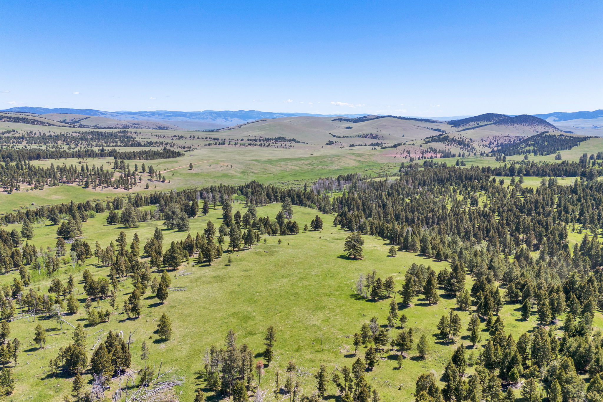 NHN N Fork Lower Willow Creek Road