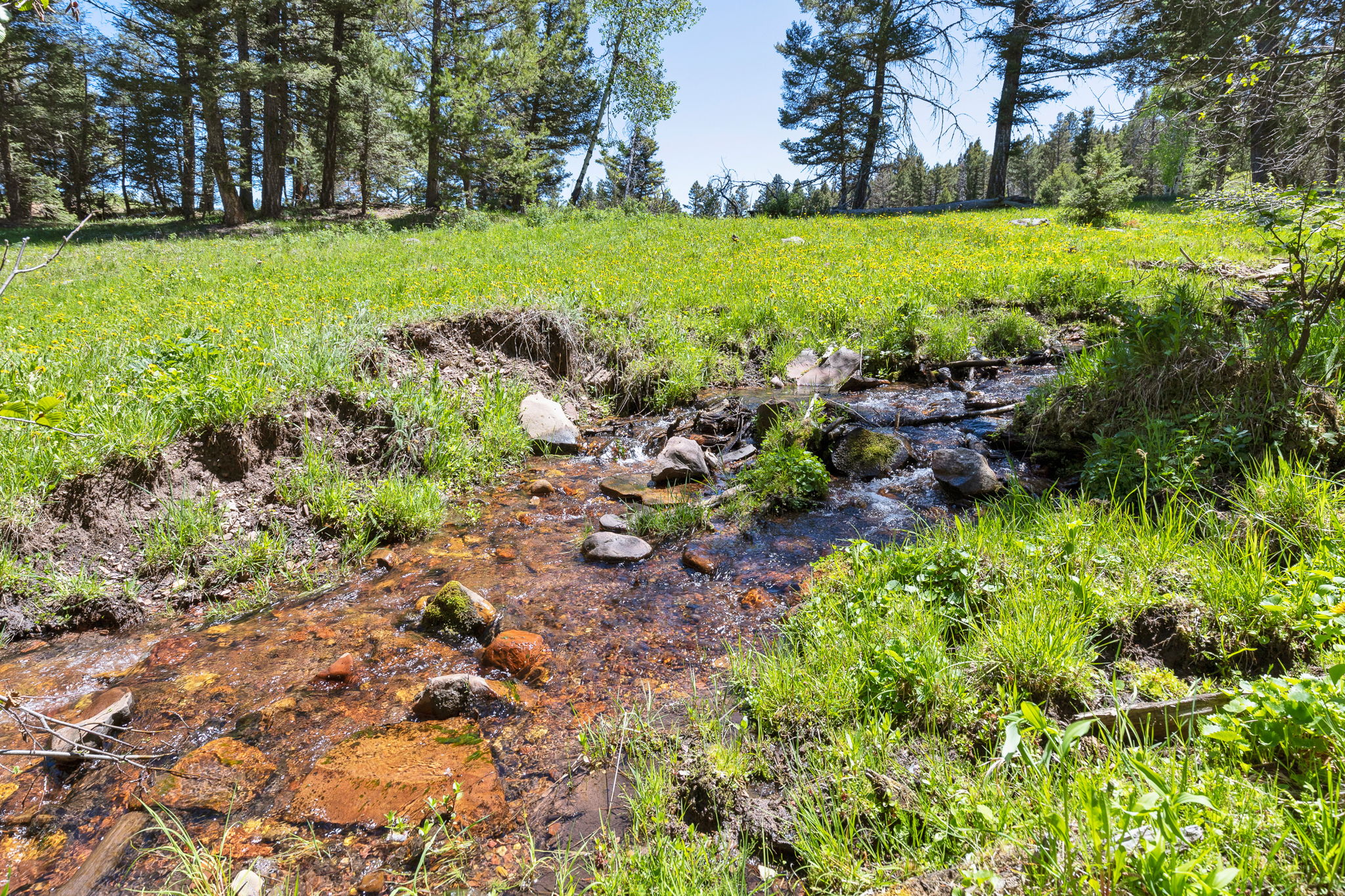 NHN N Fork Lower Willow Creek Road