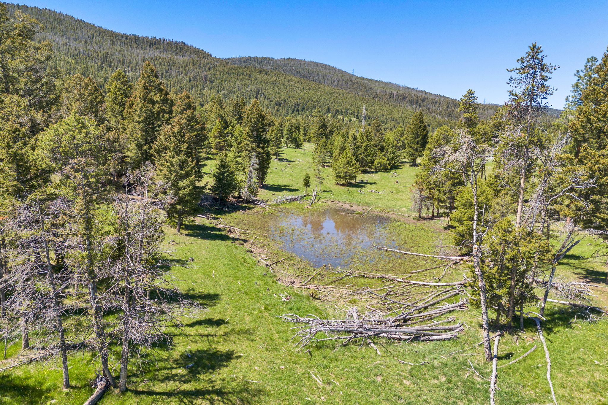 NHN N Fork Lower Willow Creek Road