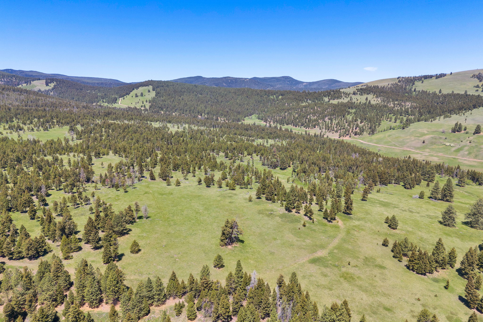 NHN N Fork Lower Willow Creek Road
