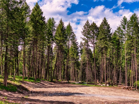 Tiny photo for 1197 Rocky Point Road, Kalispell, MT 59901 (MLS # 30070498)