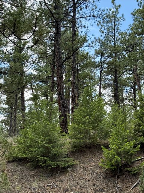 Tiny photo for 6520 Noble Lane, Helena, MT 59602 (MLS # 30069826)