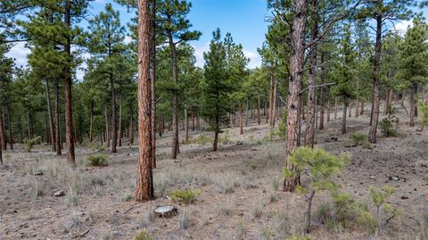 Tiny photo for 6520 Noble Lane, Helena, MT 59602 (MLS # 30069826)