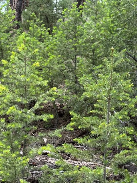 Tiny photo for 6520 Noble Lane, Helena, MT 59602 (MLS # 30069826)
