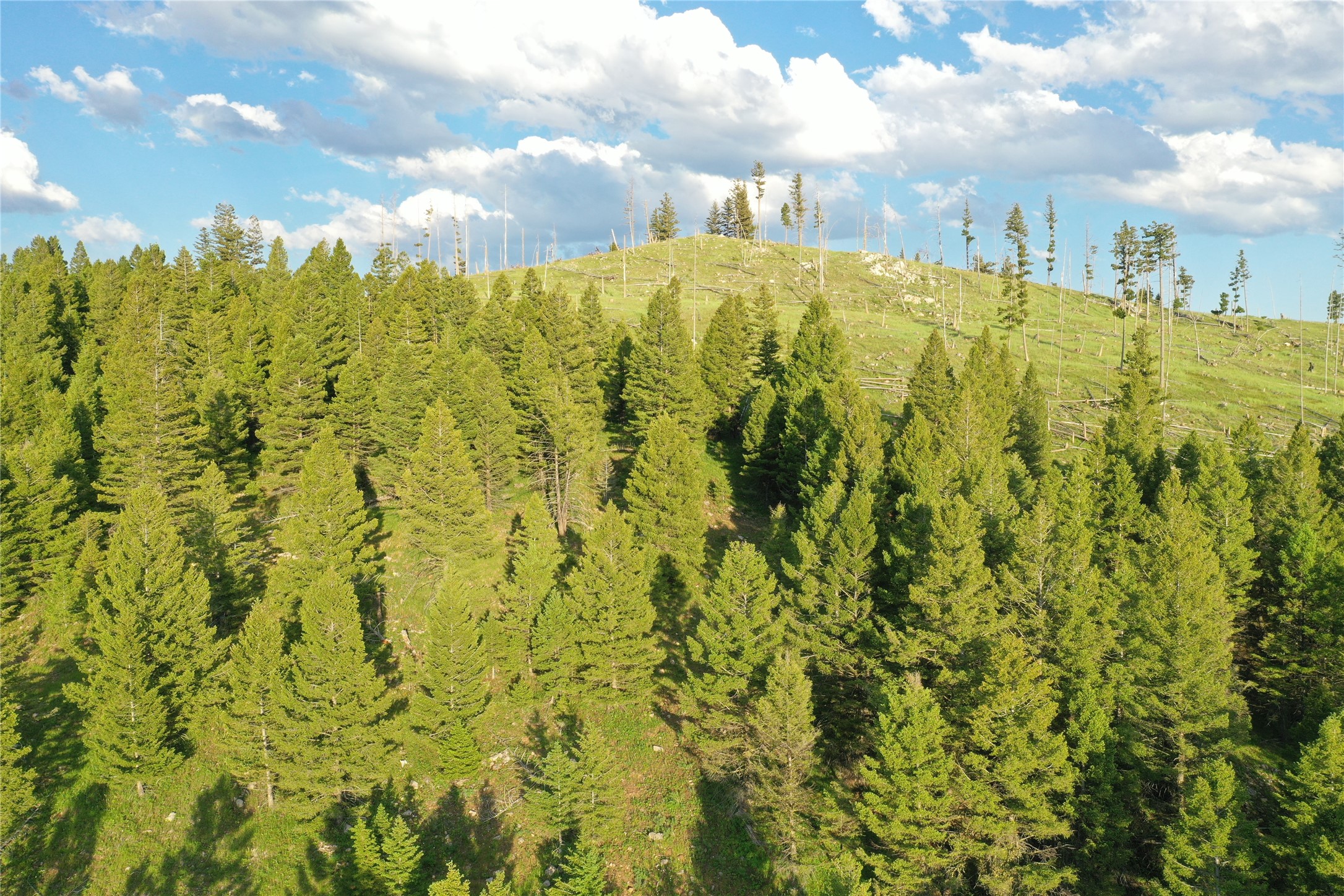 1 Tract, Garnet Range