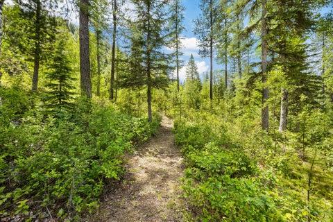 Tiny photo for 3965 North Fork Road, Columbia Falls, MT 59912 (MLS # 30072817)