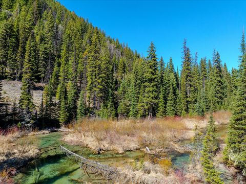Tiny photo for 14265 US Hwy 2 E, Essex, MT 59916 (MLS # 30069007)
