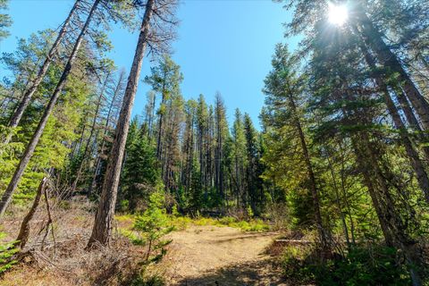 Tiny photo for 14265 US Hwy 2 E, Essex, MT 59916 (MLS # 30069007)