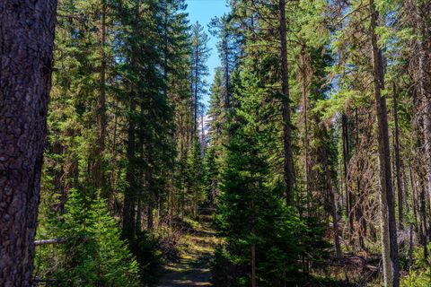 Tiny photo for 14265 US Hwy 2 E, Essex, MT 59916 (MLS # 30069007)