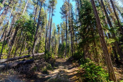 Tiny photo for 14265 US Hwy 2 E, Essex, MT 59916 (MLS # 30069007)
