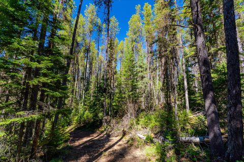 Tiny photo for 14265 US Hwy 2 E, Essex, MT 59916 (MLS # 30069007)