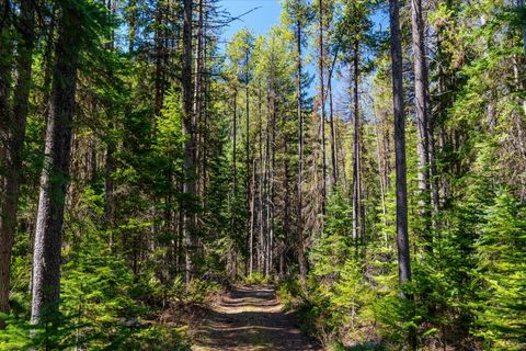 Tiny photo for 14265 US Hwy 2 E, Essex, MT 59916 (MLS # 30069007)