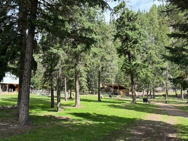 2368 Petty Creek Road 2368 Petty Creek Road