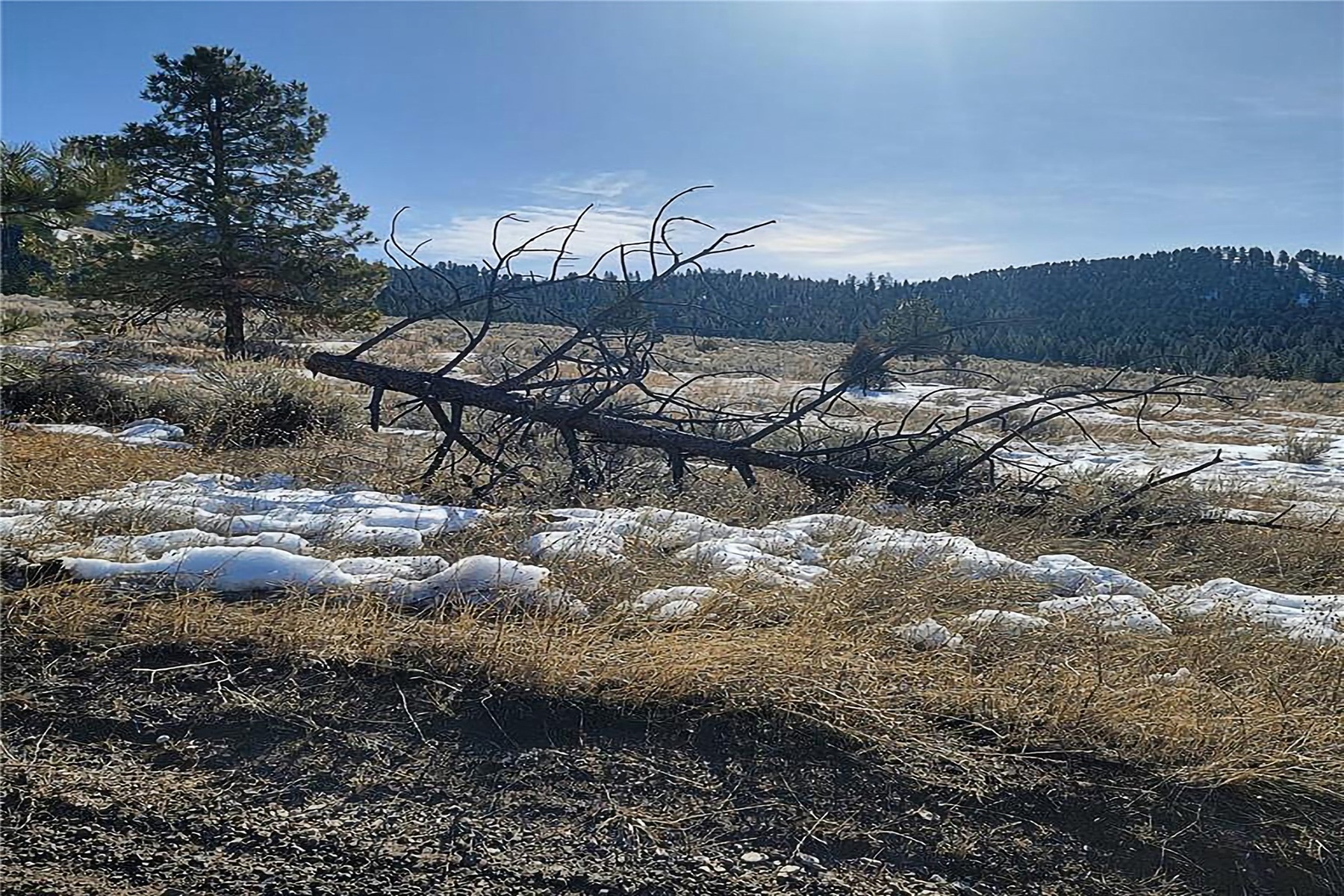 Lot A and B Sapphire Ranch Trail