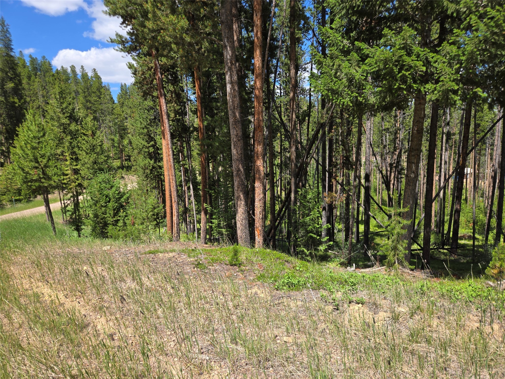 Lot 39 Shakopee Drive