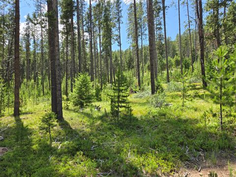 Lot 39 Shakopee Drive Anaconda MT 59711