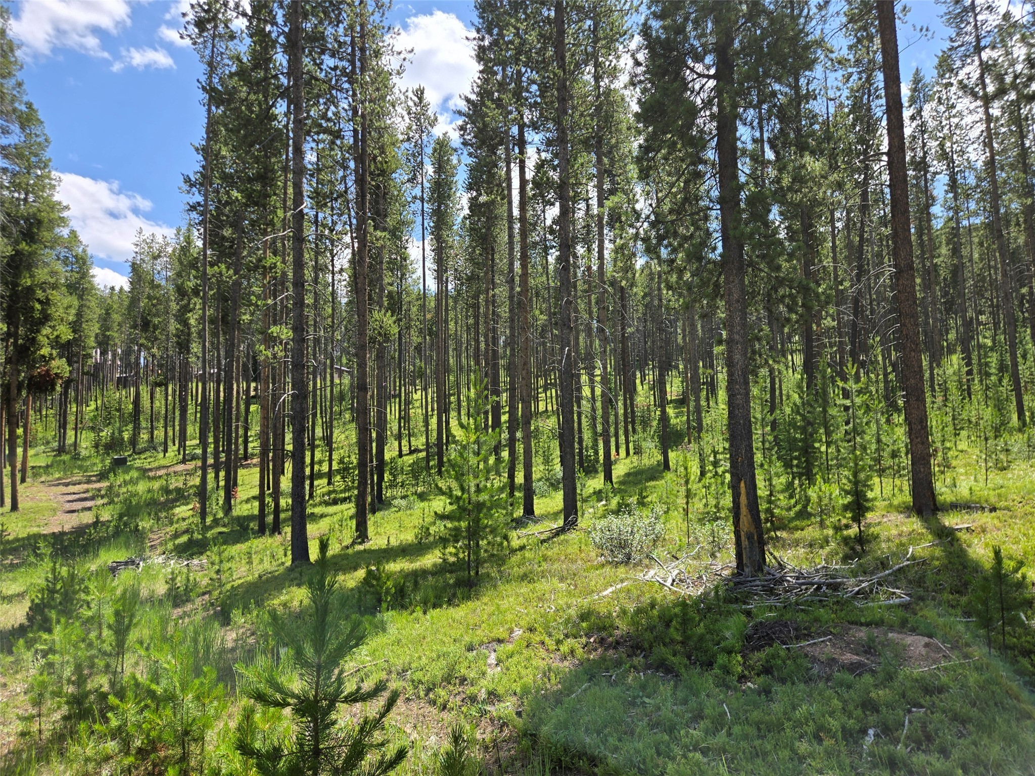 Lot 39 Shakopee Drive