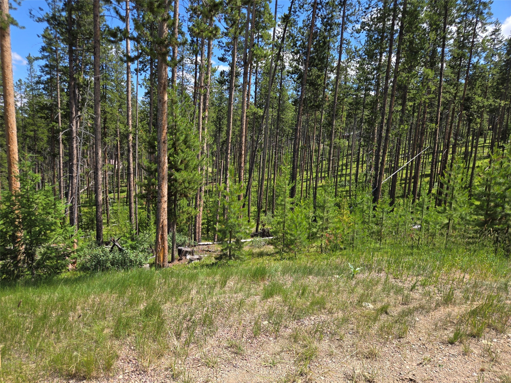 Lot 39 Shakopee Drive