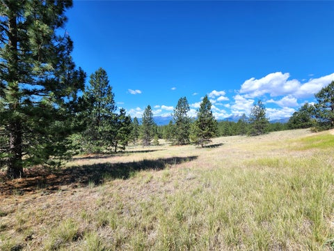 Tiny photo for 5282 Otto Way, Florence, MT 59833 (MLS # 30076232)