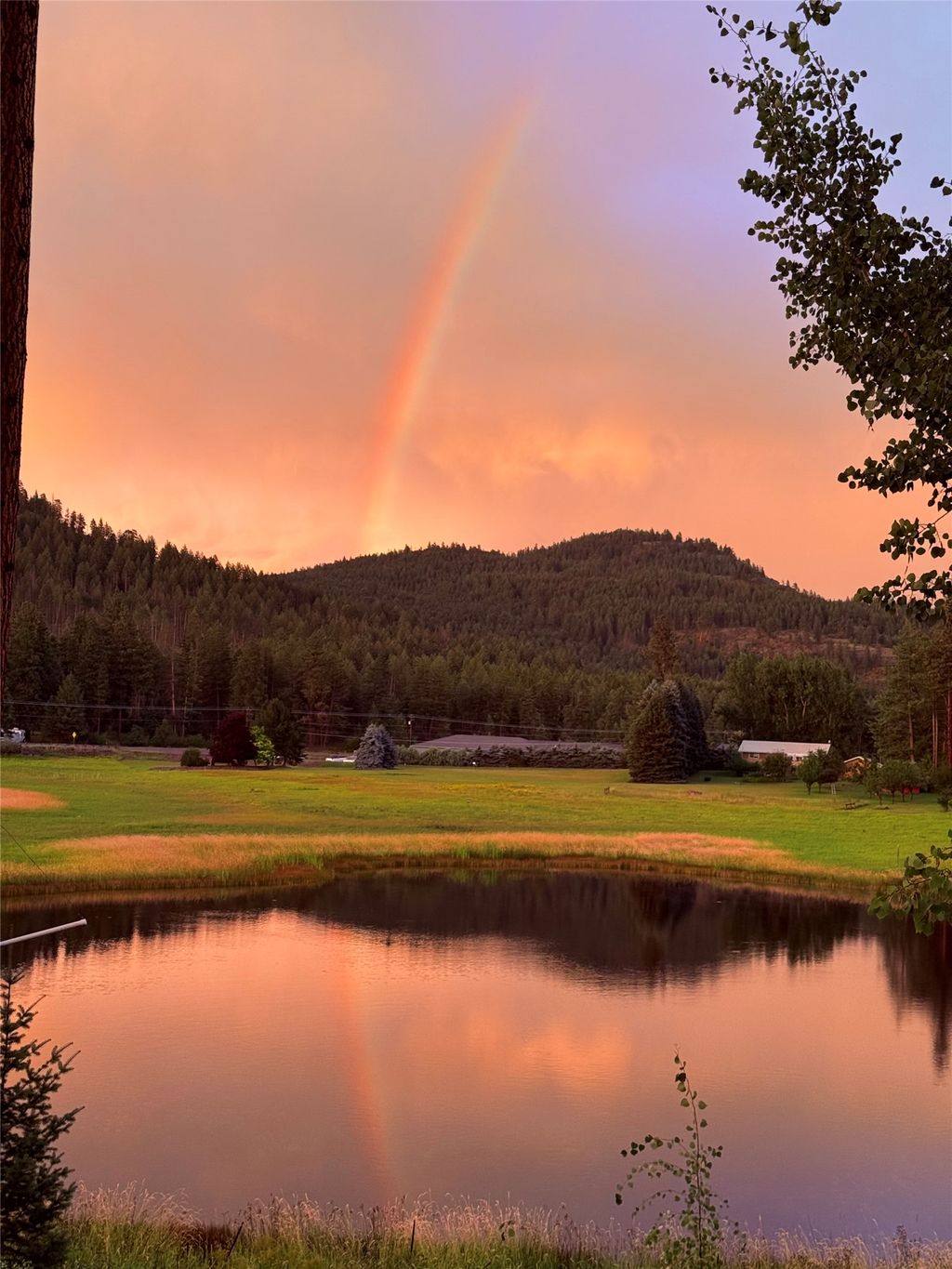 Photo of 33608 Hilltop Terrace, Bigfork, MT 59911 (MLS # 30068957)