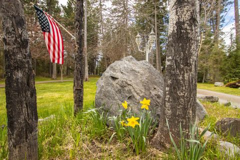 Tiny photo for 33608 Hilltop Terrace, Bigfork, MT 59911 (MLS # 30068957)