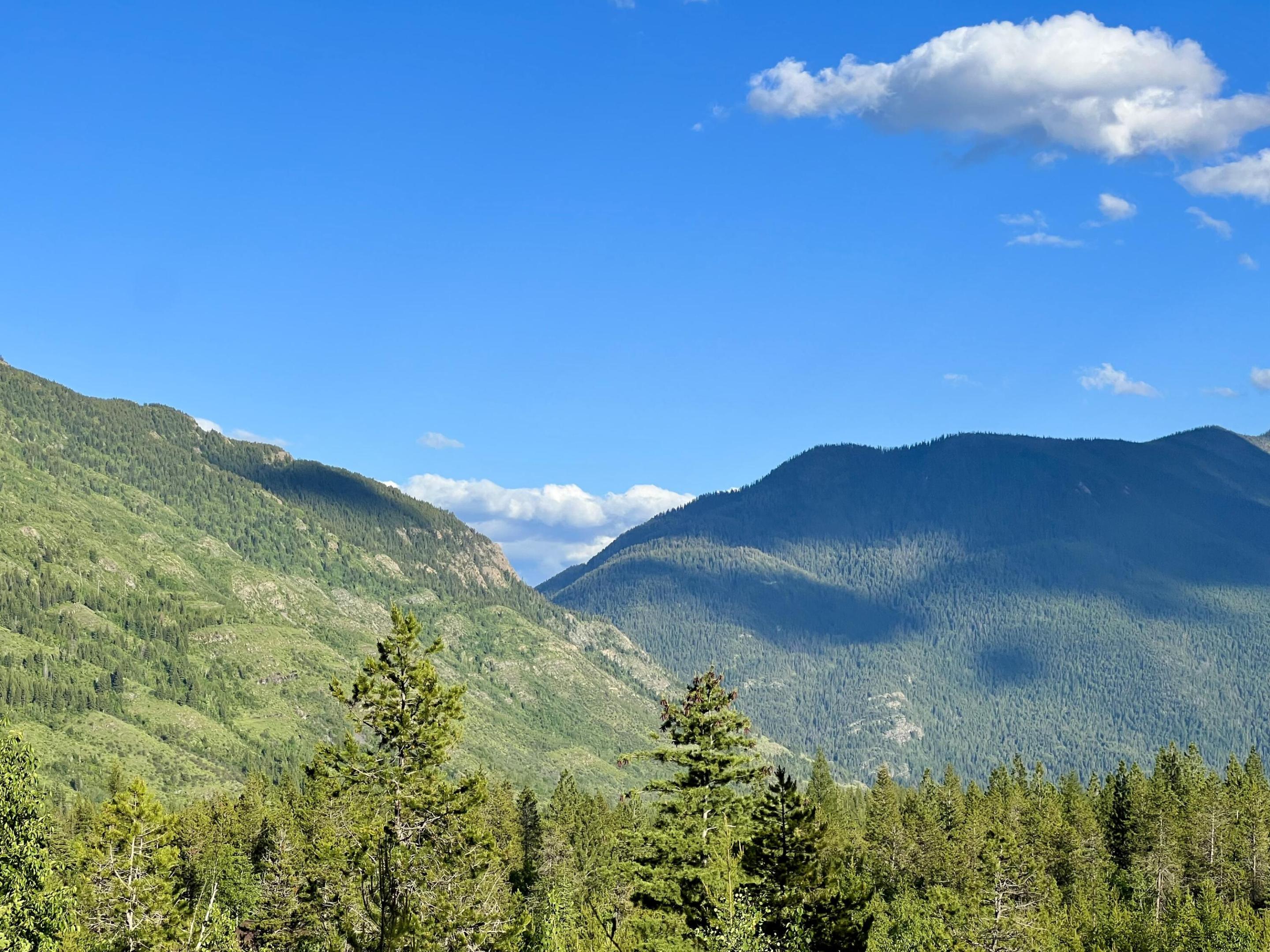 250 Bull Moose Trail