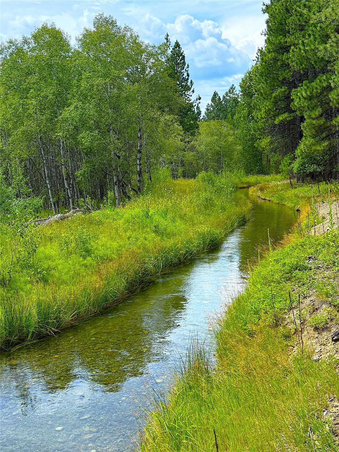 Nhn Pomeroy Trail