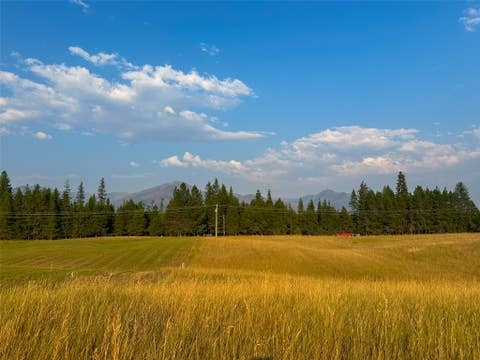 Tiny photo for NHN Little Beaver Creek Road, Thompson Falls, MT 59873 (MLS # 30076587)