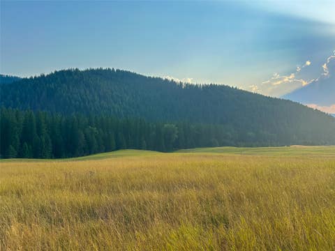Tiny photo for NHN Little Beaver Creek Road, Thompson Falls, MT 59873 (MLS # 30076587)