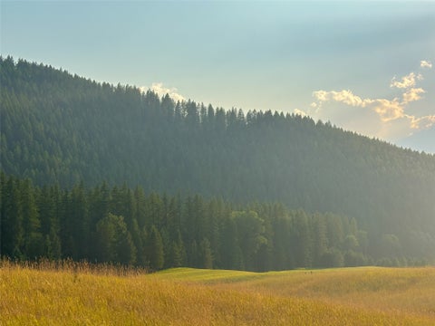Tiny photo for NHN Little Beaver Creek Road, Thompson Falls, MT 59873 (MLS # 30076587)